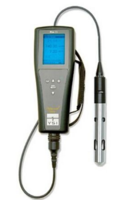 Pro20溶解氧测量仪