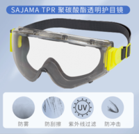 代尔塔 101141 SAJAMA护目镜